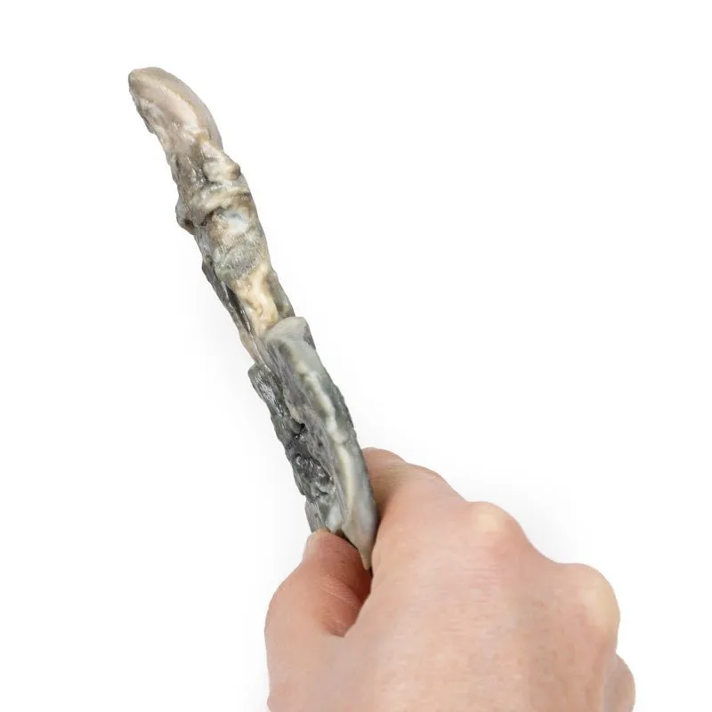 3D Printed Tracheoesophageal Fistula and Oesophagus Atresia