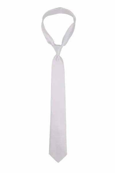 Bright Solid White Traditional Tie