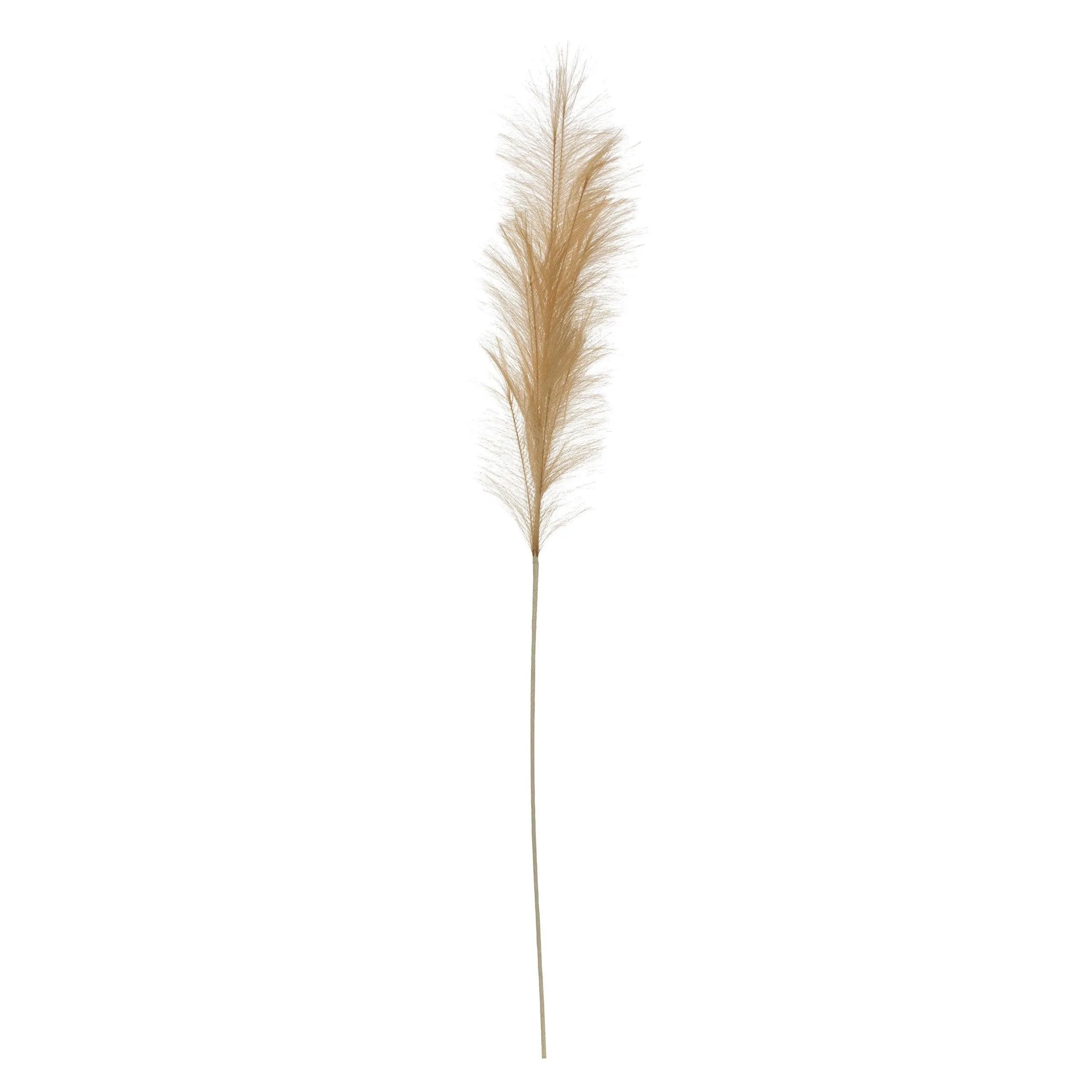 Faux Pampas Grass Plume, Wheat